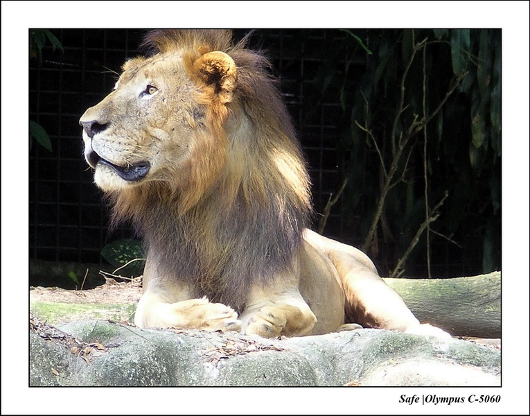 2005 - 06 - Zoo 046.JPG